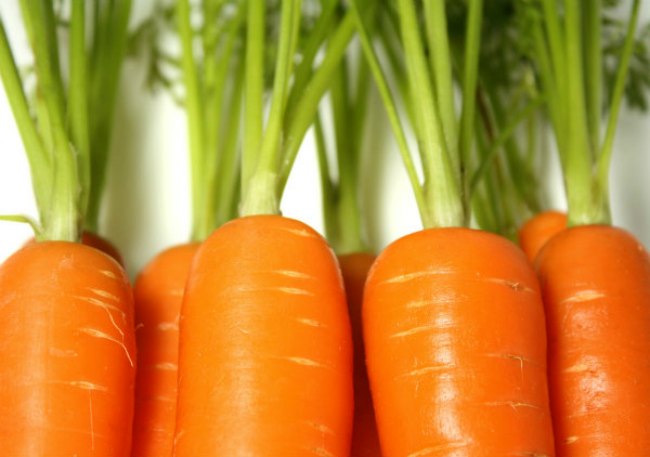 carrot-tops-